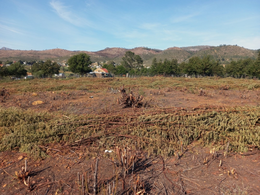 0 Bedroom Property for Sale in Haarlem Western Cape